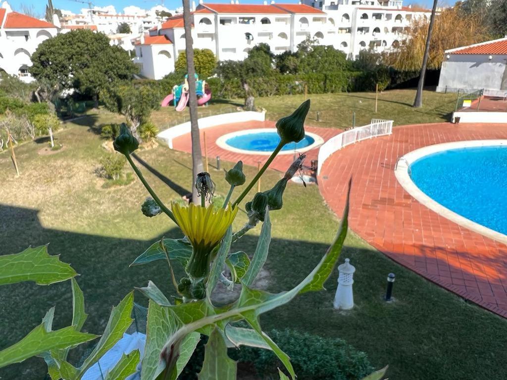 Apartament Painel De Albufeira Zewnętrze zdjęcie